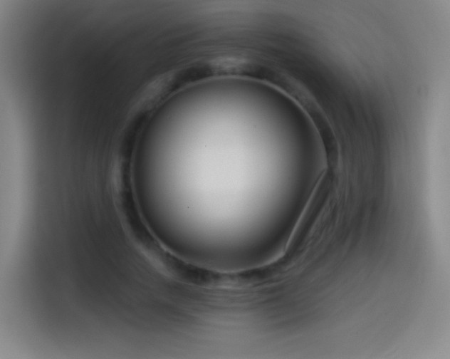 X0000114440738200910161355