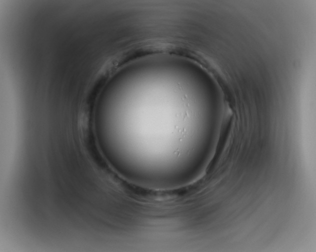X0000114440739200910161355