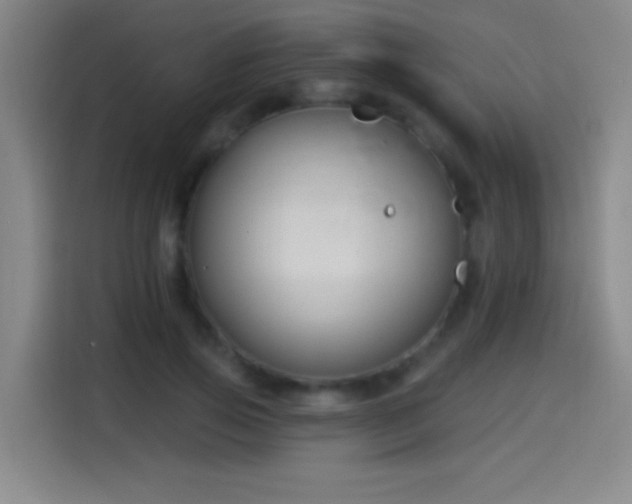 X0000114440741200910161355