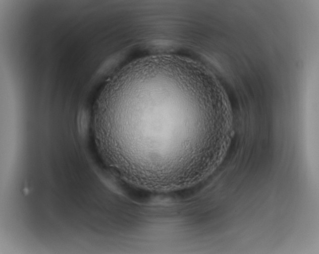 X0000114440742200910161355
