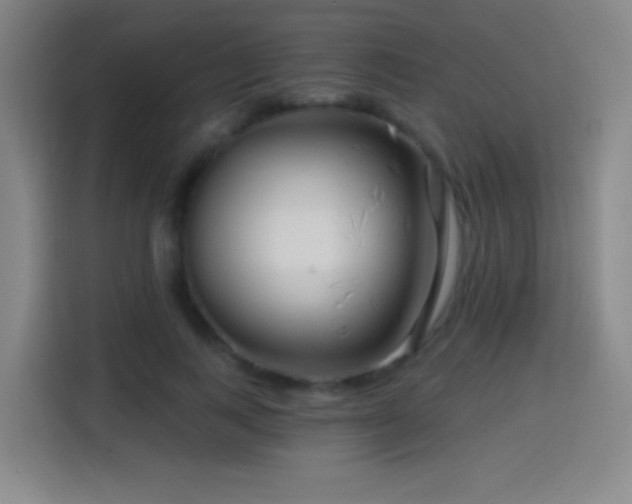 X0000114440743200910161355