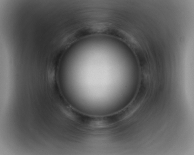 X0000114440745200910161355
