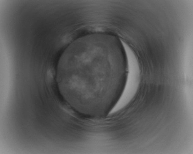 X0000114440747200910161355