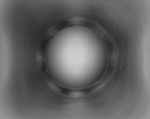 X0000114440749200910161355