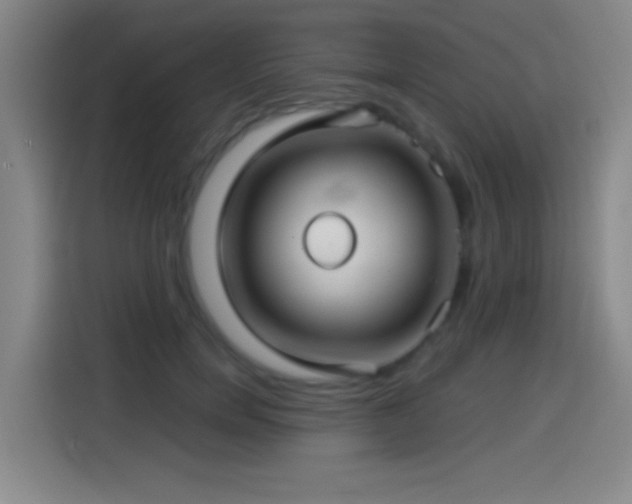 X0000114440750200910161355