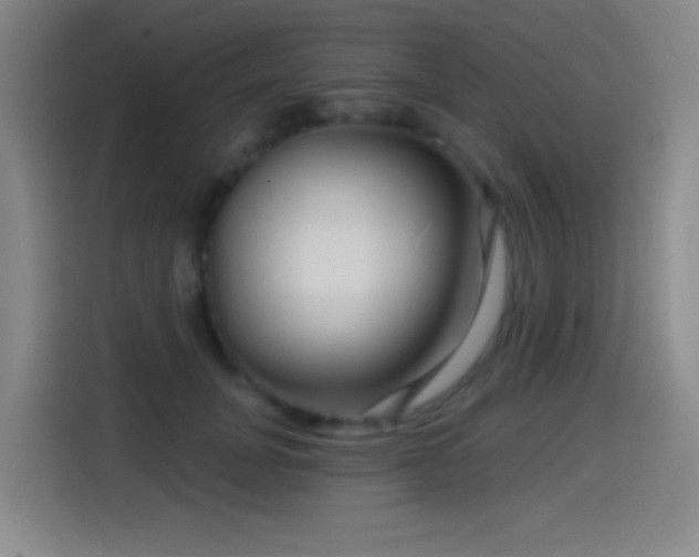 X0000114440751200910161355