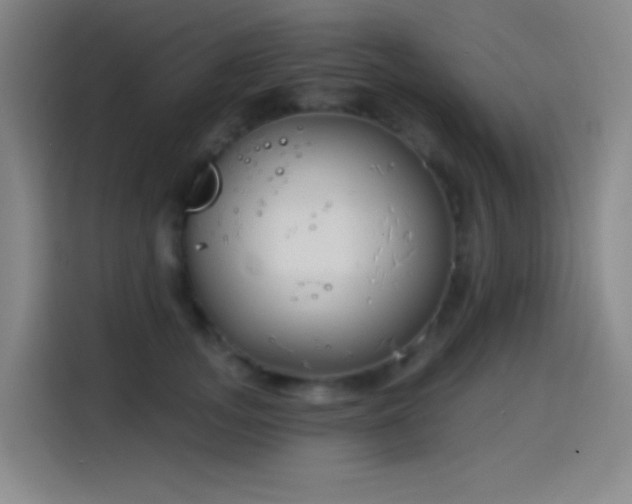 X0000114440755200910161355