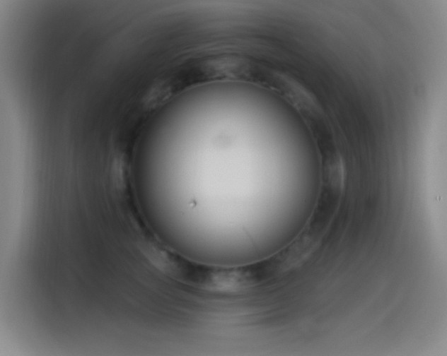 X0000114440757200910161355