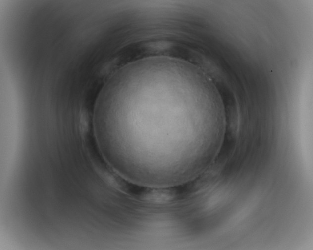 X0000114440758200910161355