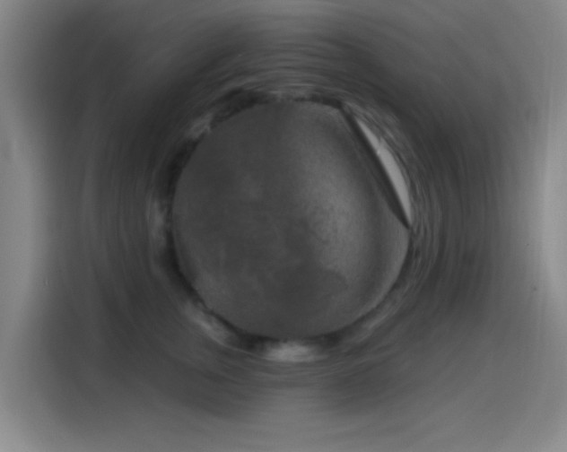 X0000114440759200910161355
