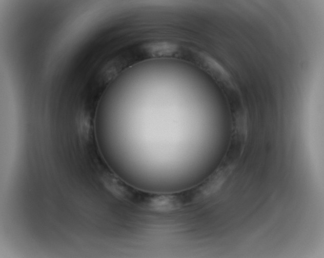 X0000114440761200910161355