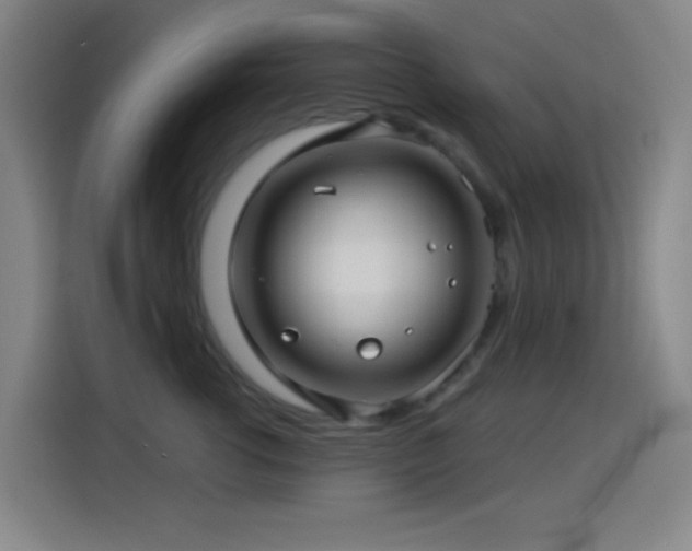 X0000114440762200910161355