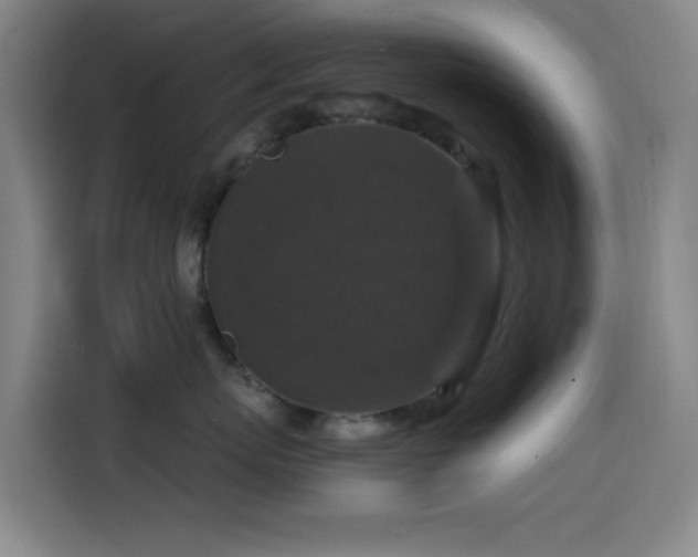 X0000114440767200910161355