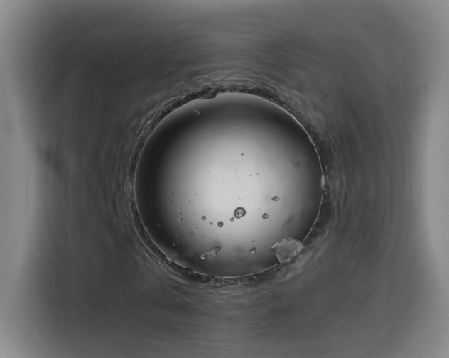 X0000114440769200910161354