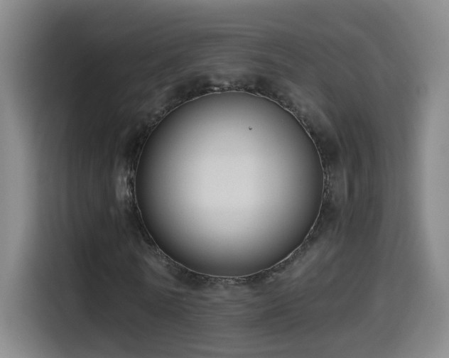X0000114440770200910161354