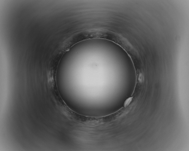 X0000114440771200910161354