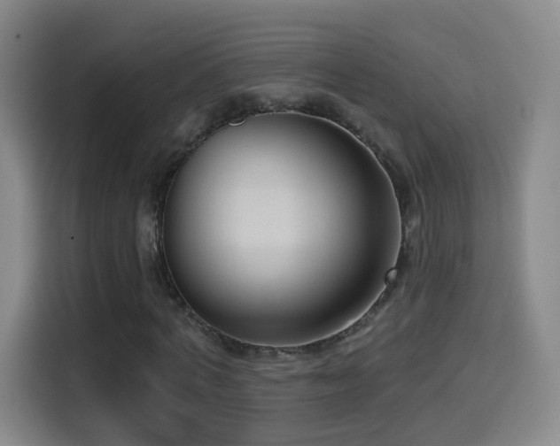 X0000114440772200910161354