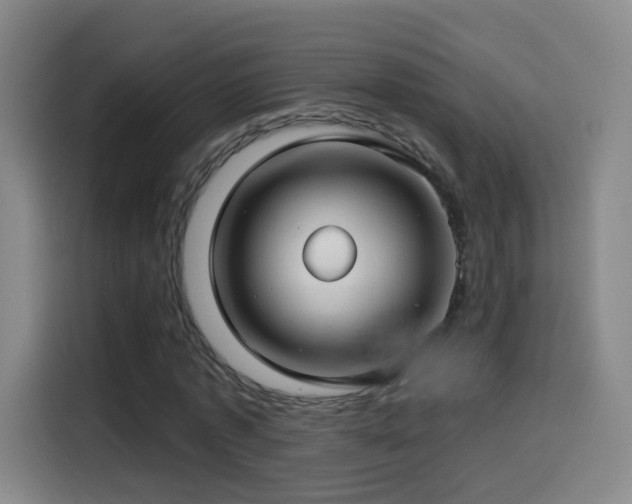X0000114440773200910161354