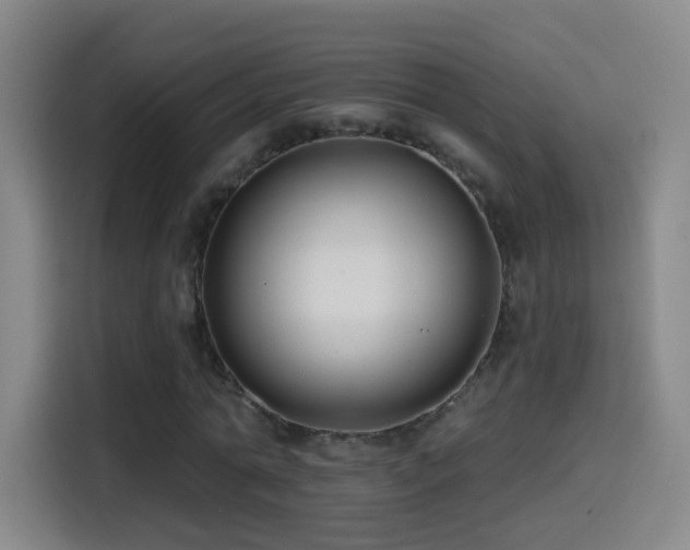 X0000114440774200910161354