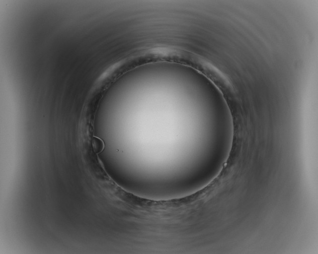 X0000114440776200910161354