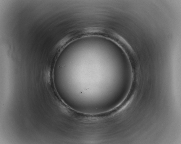 X0000114440777200910161354
