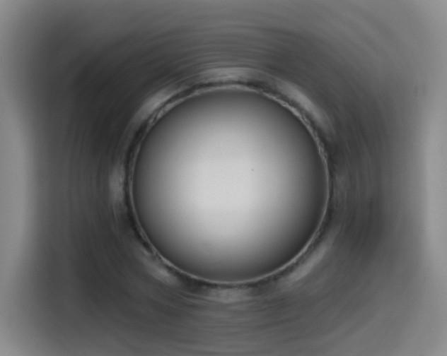 X0000114440778200910161354