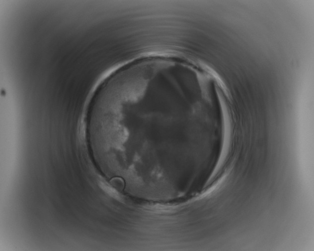 X0000114440779200910161354
