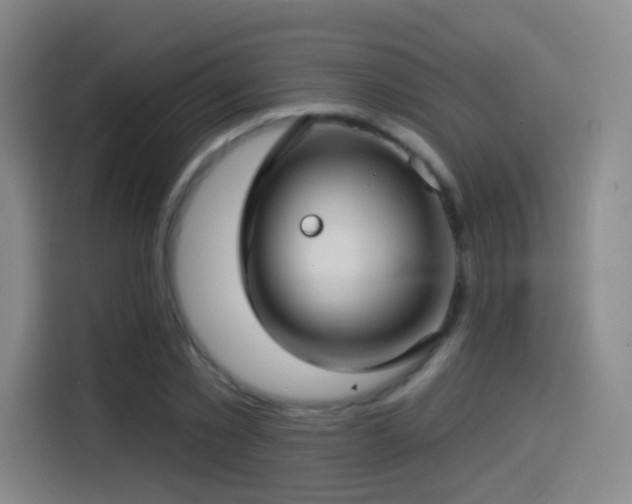 X0000114440781200910161354