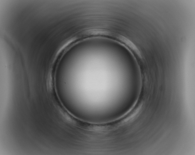 X0000114440782200910161354