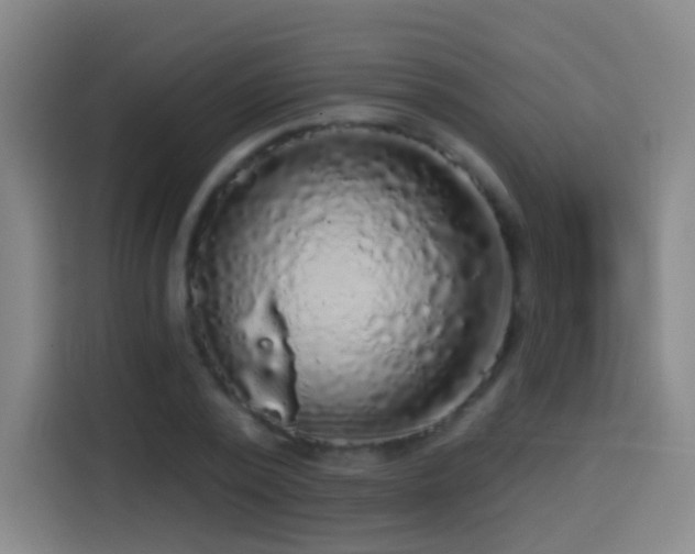 X0000114440784200910161354