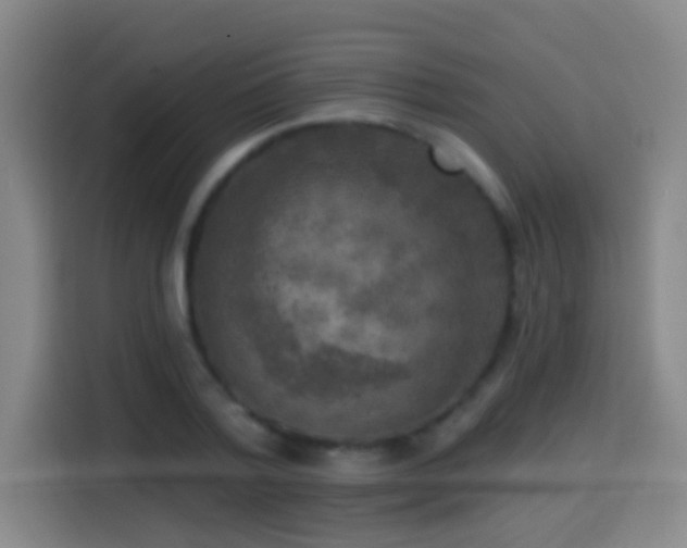 X0000114440788200910161354