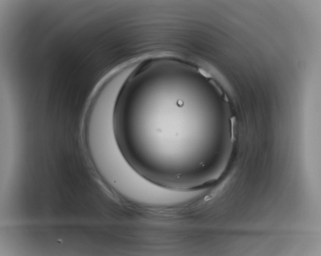 X0000114440789200910161354