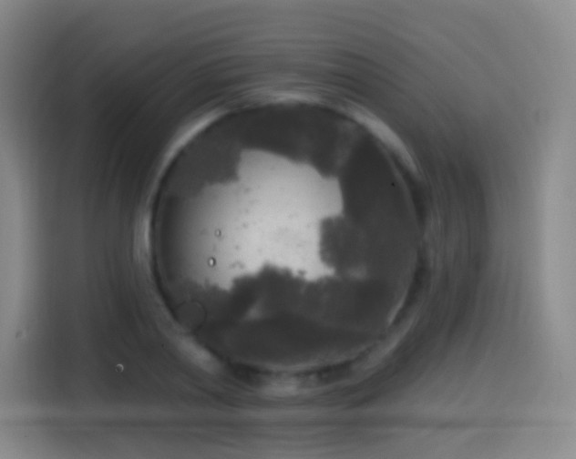X0000114440790200910161354