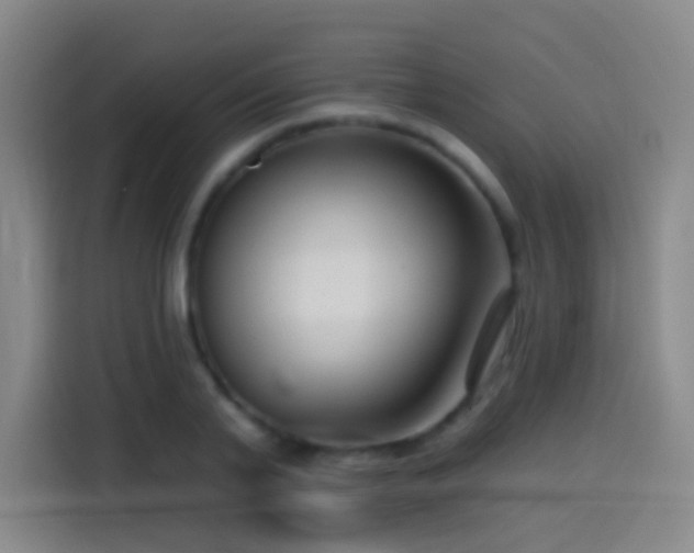 X0000114440791200910161354