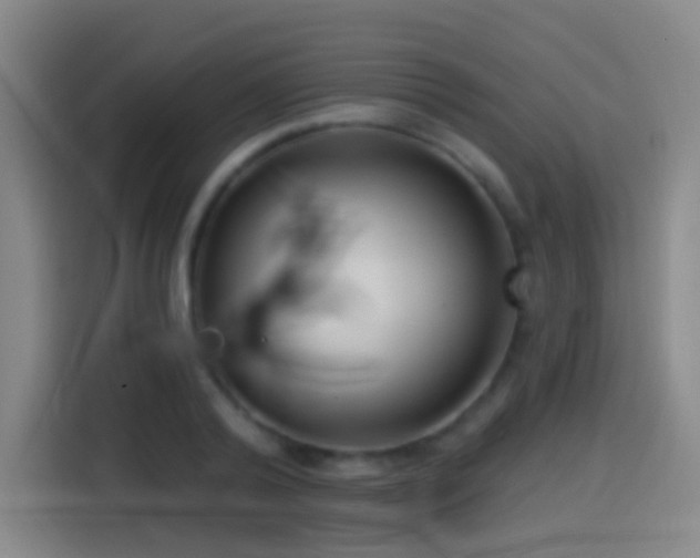 X0000114440792200910161354