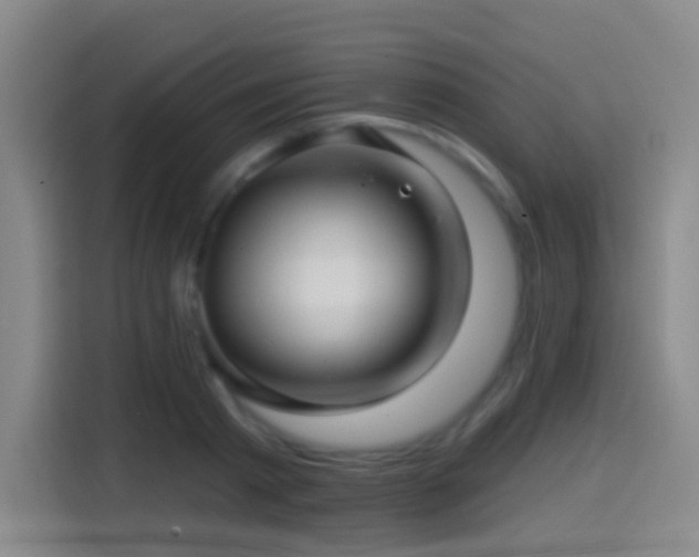 X0000114440793200910161354