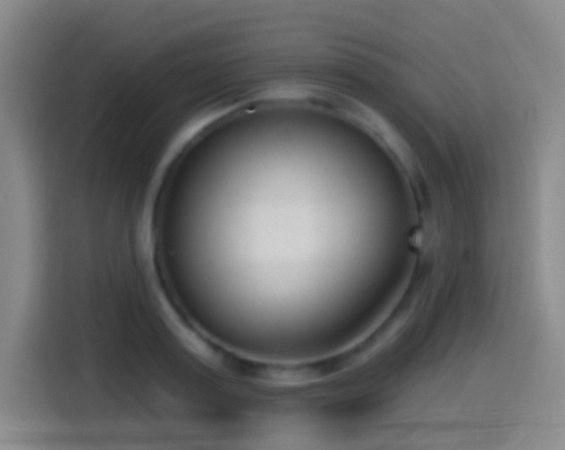 X0000114440795200910161354