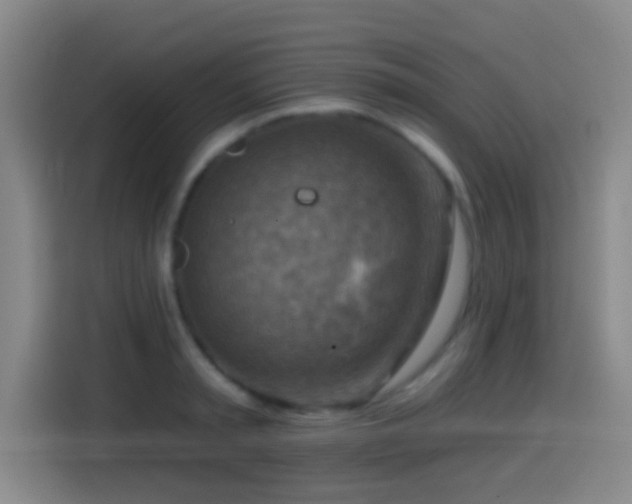 X0000114440797200910161354