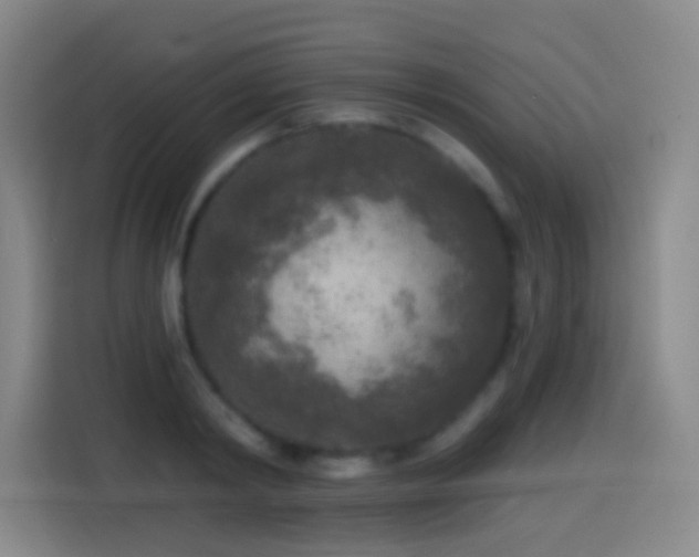 X0000114440798200910161354
