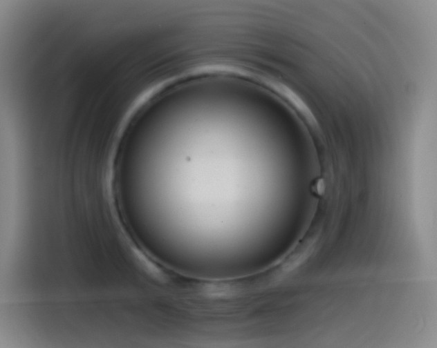 X0000114440799200910161354