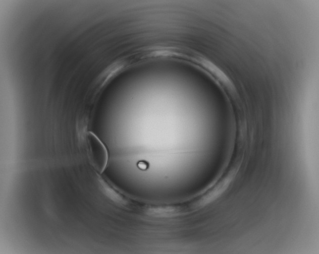 X0000114440801200910161354
