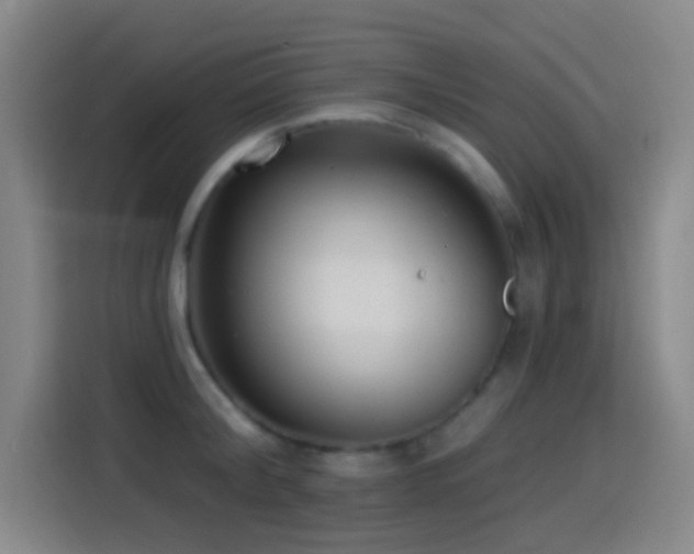X0000114440804200910161354