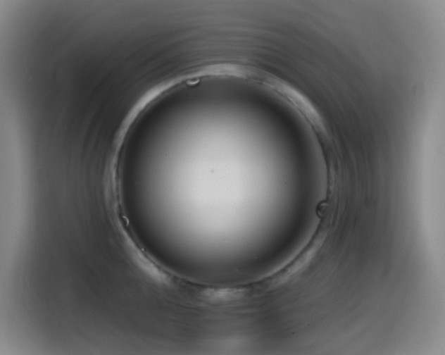 X0000114440808200910161354