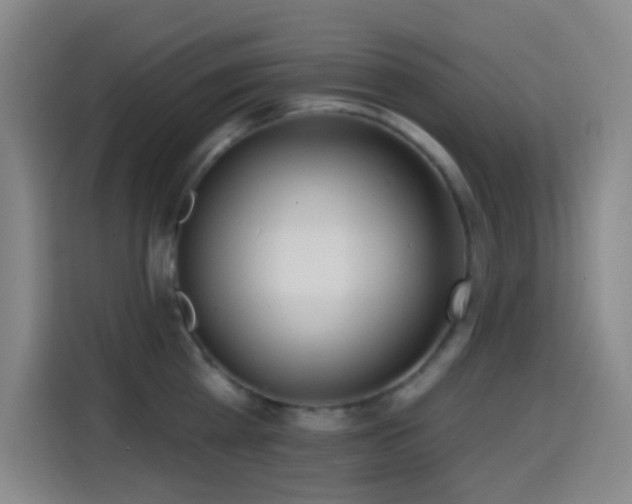 X0000114440809200910161354