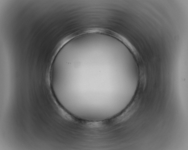 X0000114440810200910161354
