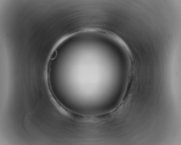 X0000114440811200910161354