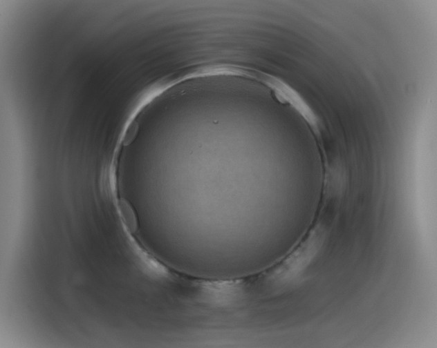 X0000114440813200910161354