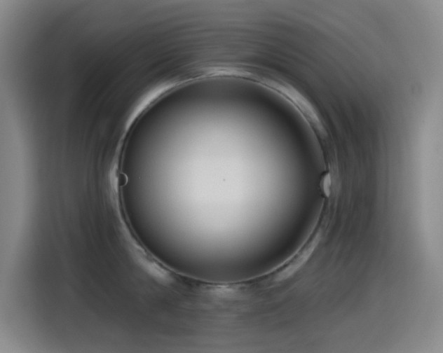 X0000114440814200910161354