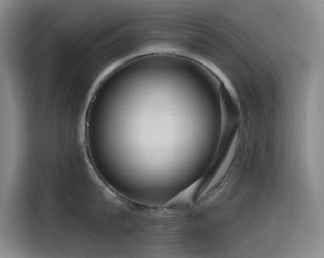 X0000114440815200910161354
