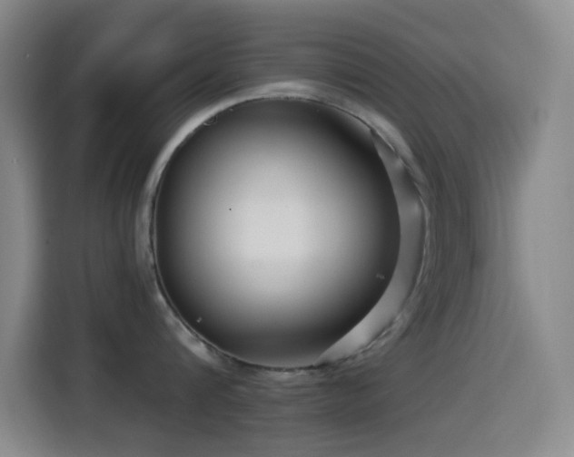 X0000114440816200910161354